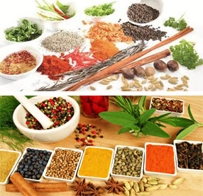 Công Ty Cổ phần Genta Thụy Sĩ