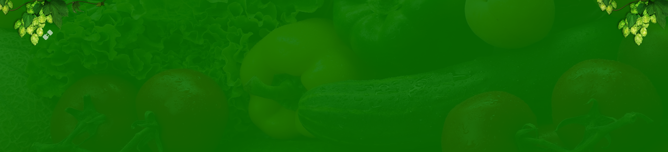 Công Ty Cổ phần Genta Thụy Sĩ