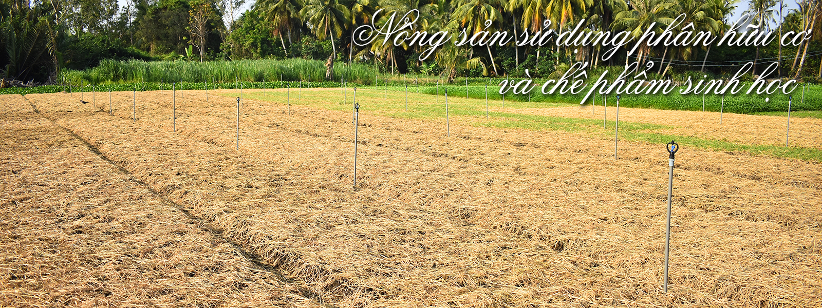 Công Ty Cổ phần Genta Thụy Sĩ