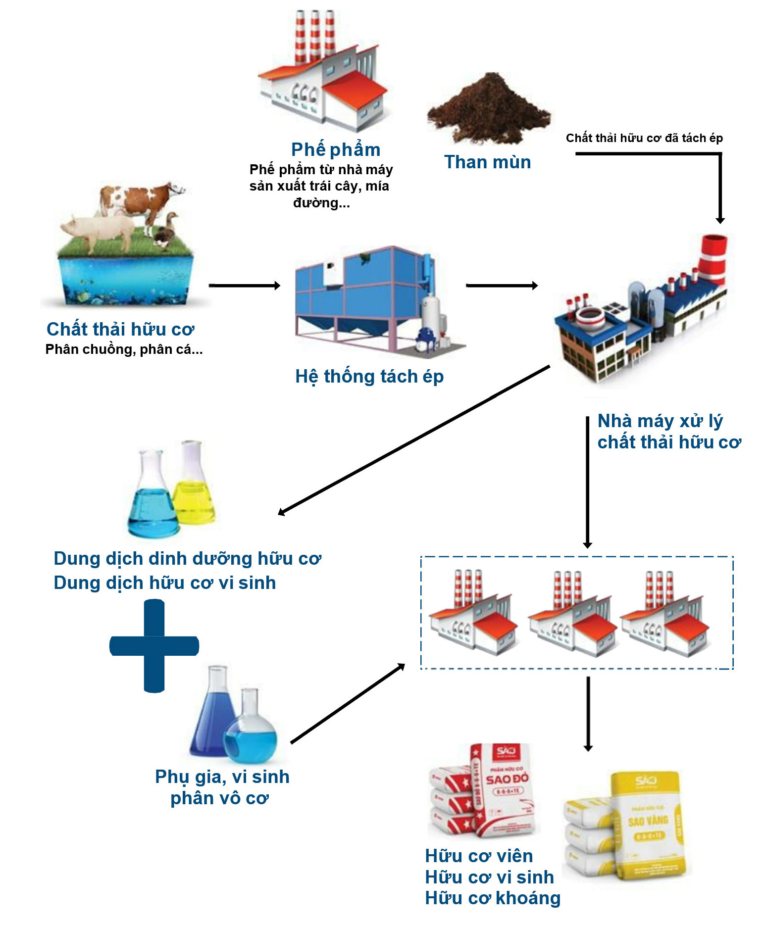 Công Ty Cổ phần Genta Thụy Sĩ