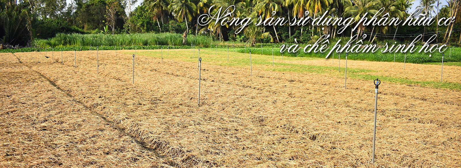 Công Ty Cổ phần Genta Thụy Sĩ