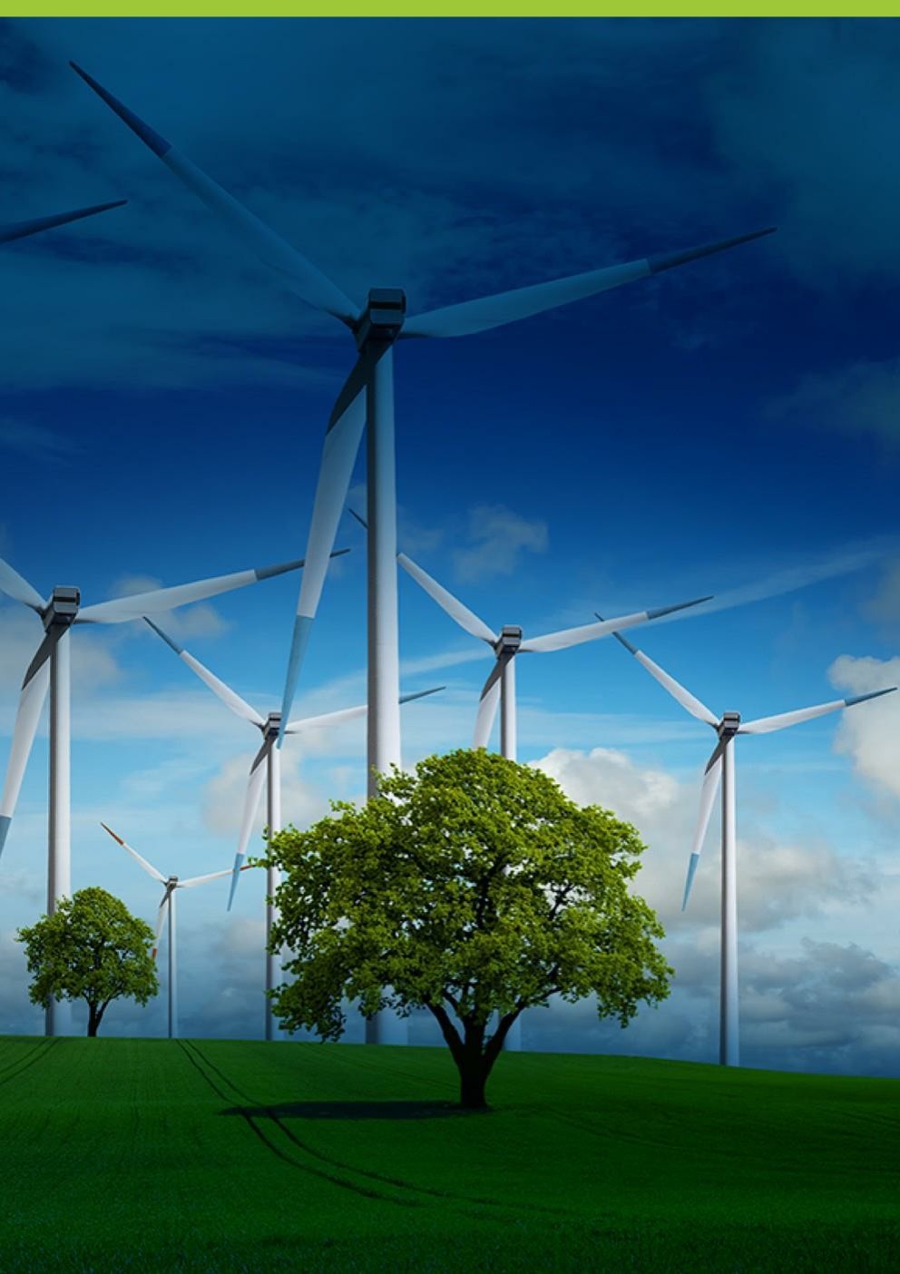 Công Ty Cổ phần Genta Thụy Sĩ