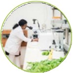 Công Ty Cổ phần Genta Thụy Sĩ