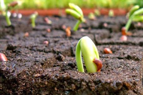 Công Ty Cổ phần Genta Thụy Sĩ