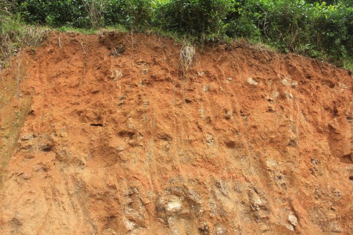 Công Ty Cổ phần Genta Thụy Sĩ