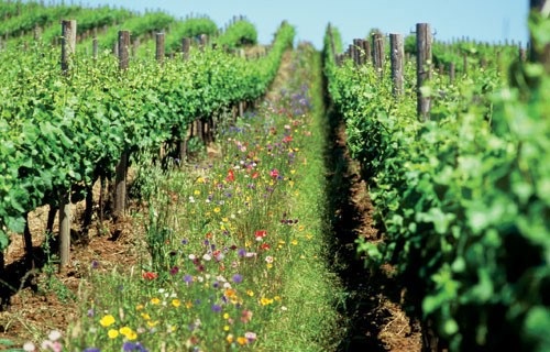 Công Ty Cổ phần Genta Thụy Sĩ