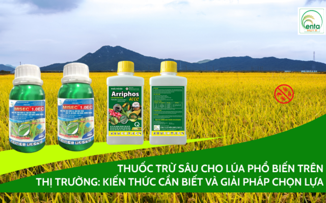thuoc-tru-sau-cho-lua