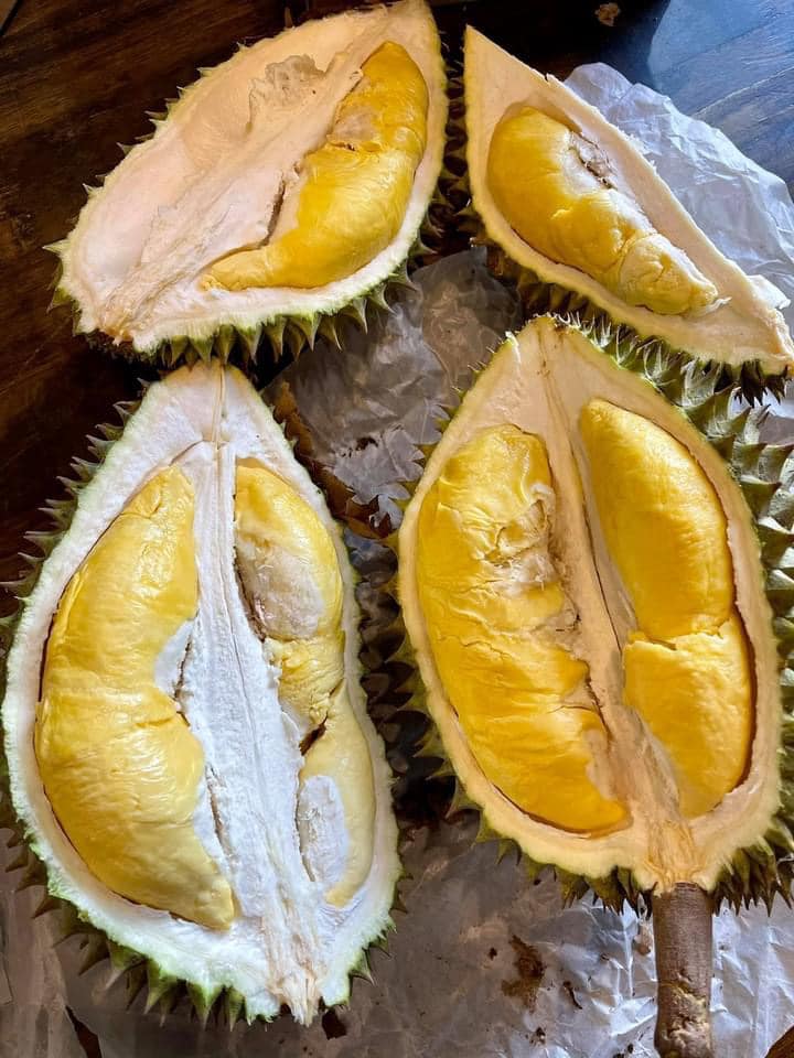 sầu riêng xuất khẩu