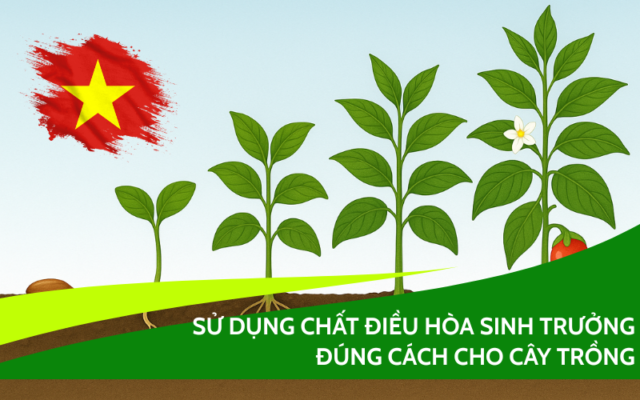 chat-dieu-hoa-sinh-truong