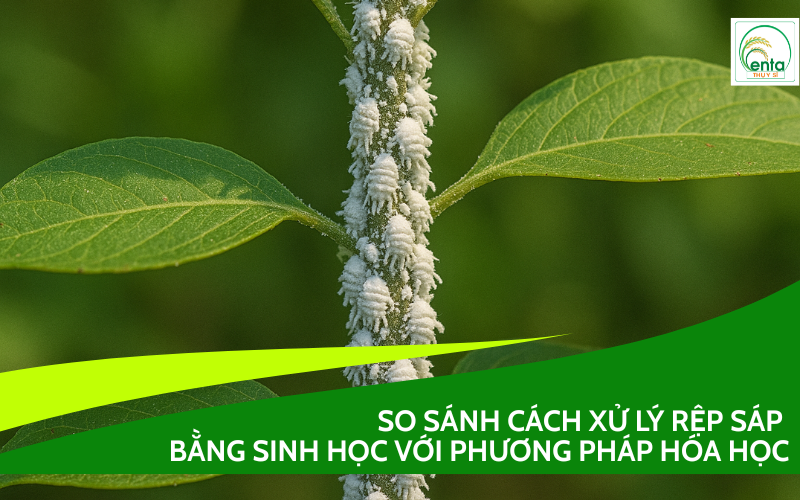 xu-ly-rep-sap-bang-sinh-hoc