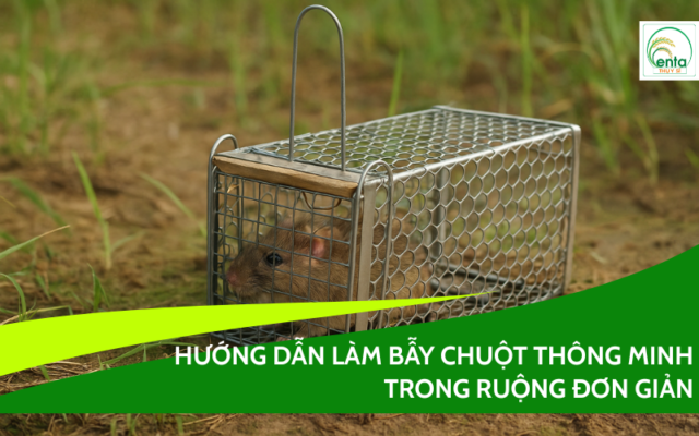 bay-chuot-thong-minh