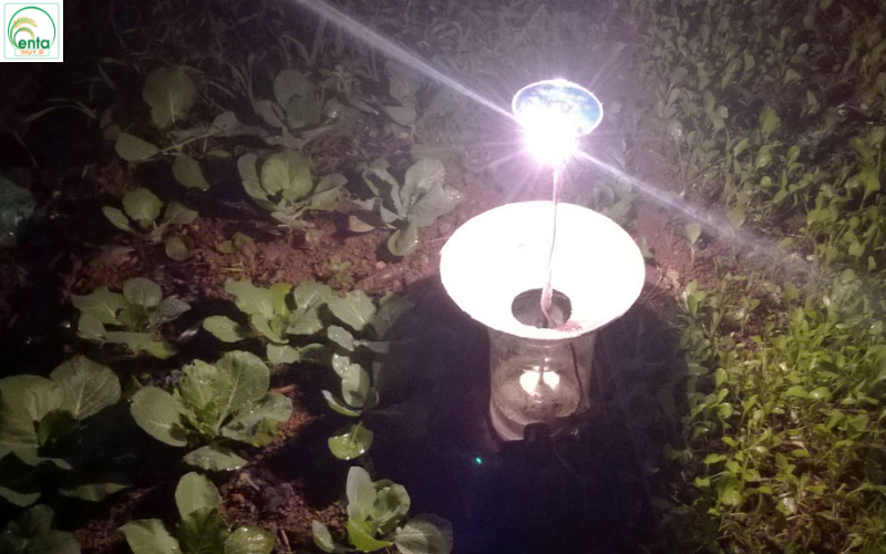 khi-nao-nen-phun-thuoc-sau-cuon-la