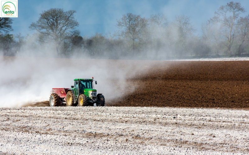 cach-xu-ly-thoi-re-cay-co-mui