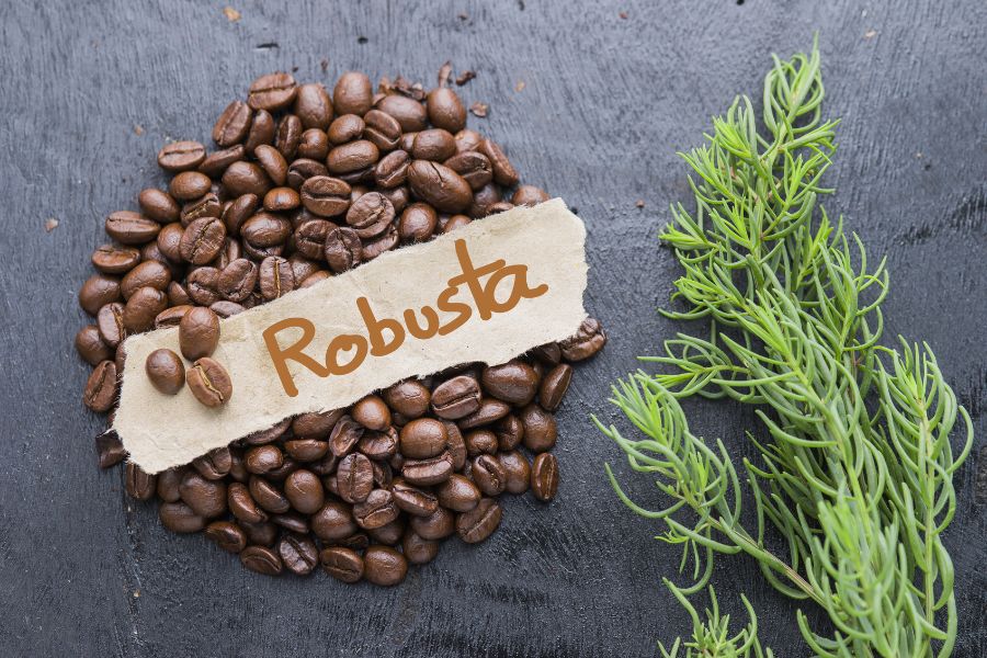 Giá cà phê Robusta