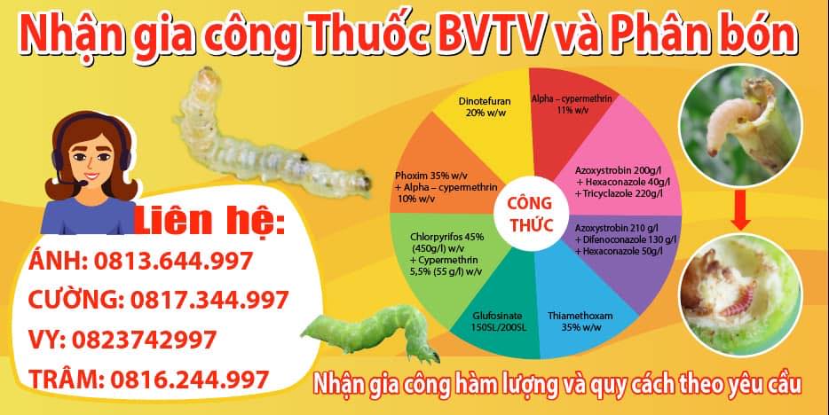 thiết kế nhãn mác