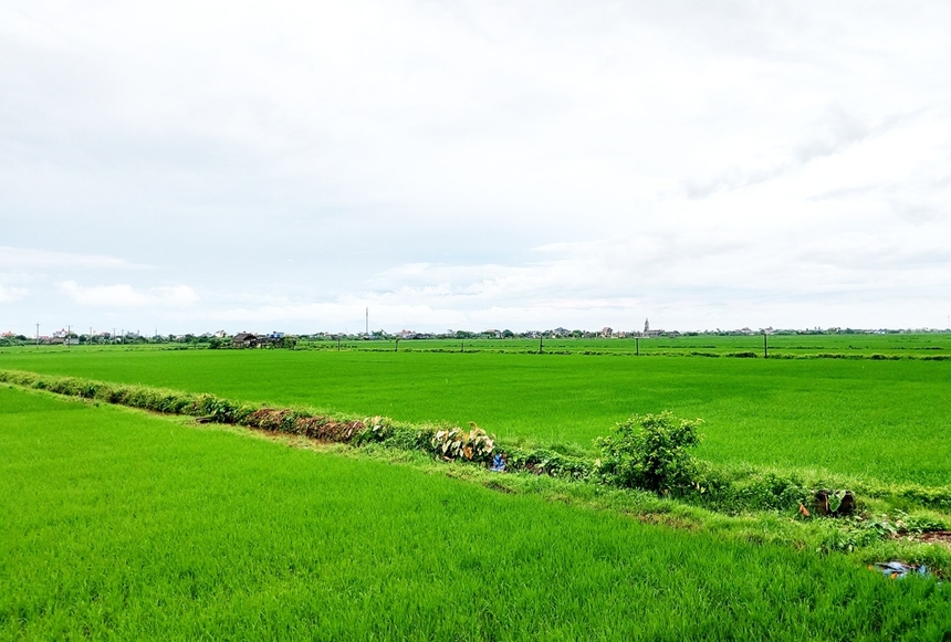 Miễn thuế đất nông nghiệp