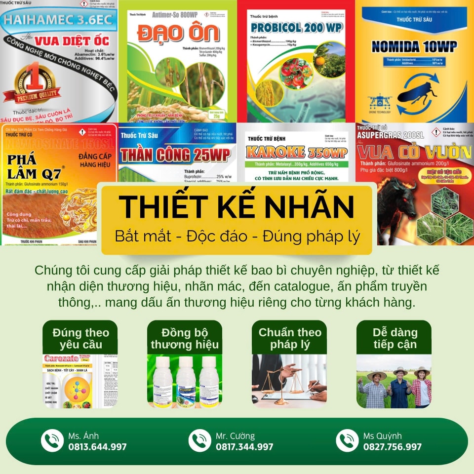 thiết kế nhãn mác