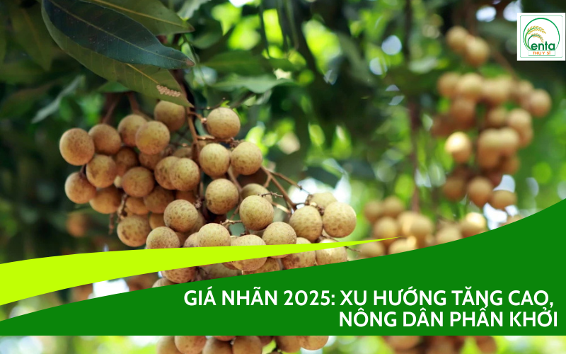 Giá nhãn 2025