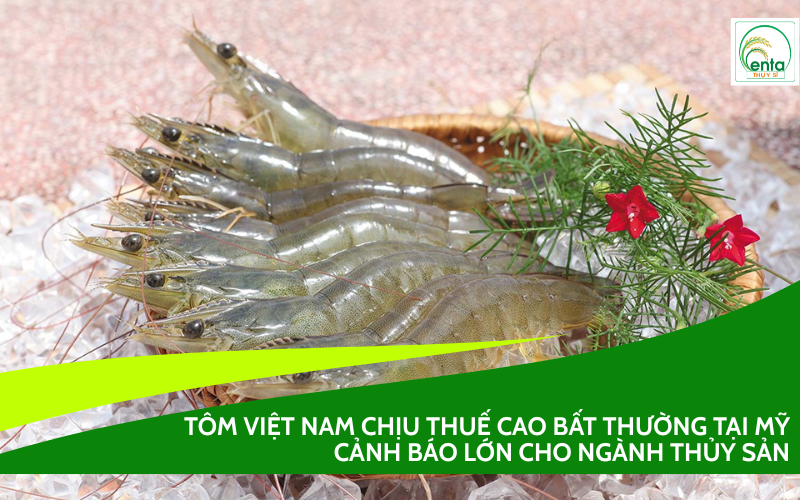 Tôm Việt Nam chịu thuế