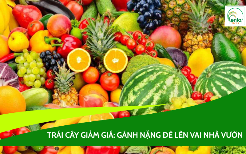 Trái cây giảm giá