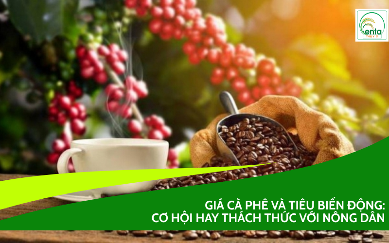 Giá cà phê và tiêu