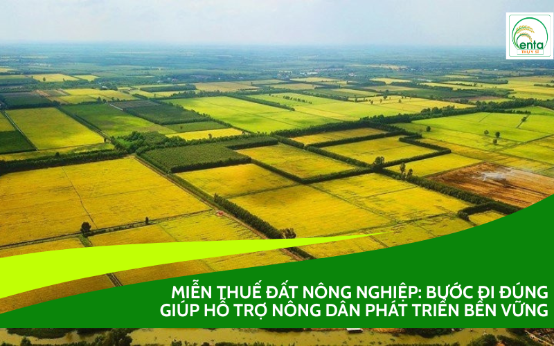 Miễn thuế đất nông nghiệp