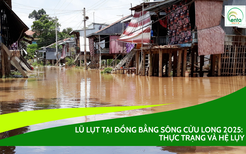 Lũ lụt tại đồng bằng sông Cửu Long