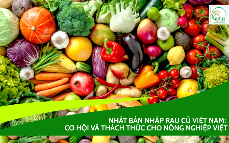 Nhật Bản nhập rau củ Việt Nam