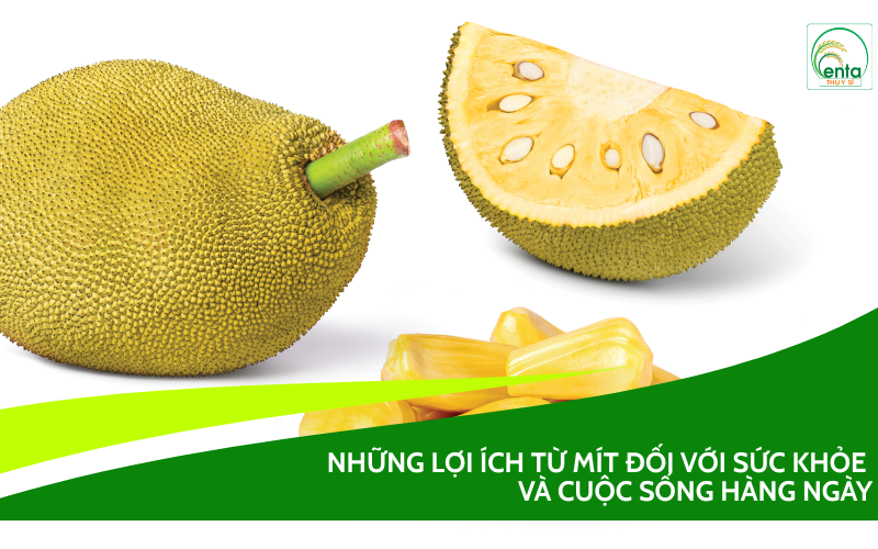 những lợi ích từ mít