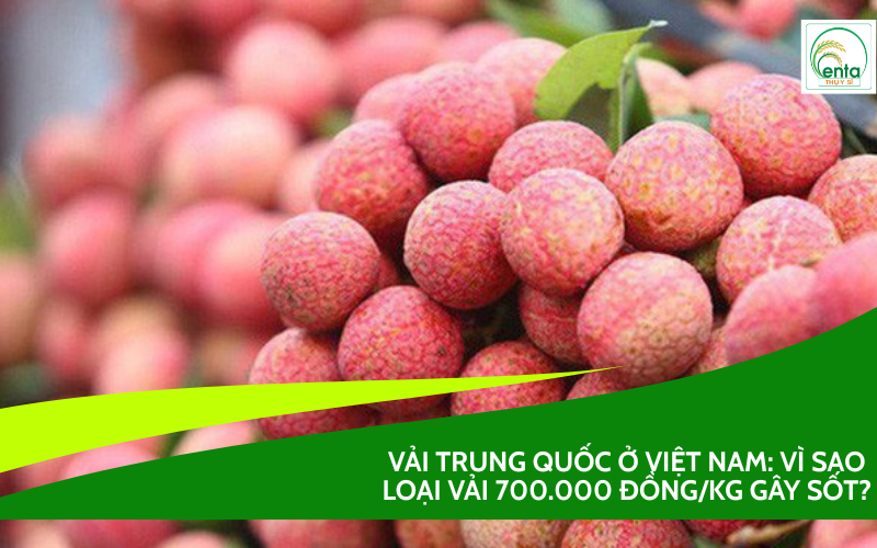Vải Trung Quốc ở Việt Nam