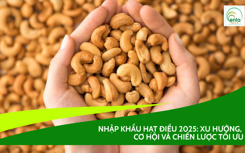 Nhập Khẩu Hạt Điều