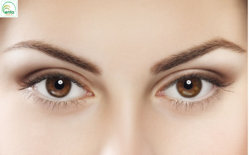 những lợi ích từ mít