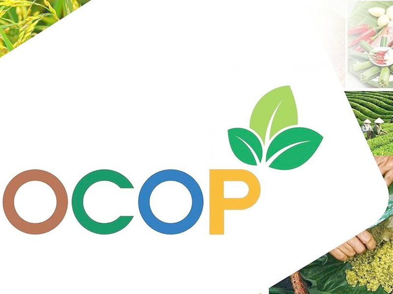 Sản Phẩm OCOP Chuẩn 5 Sao