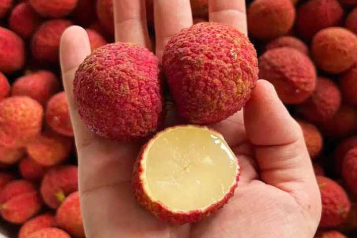 Vải Trung Quốc ở Việt Nam