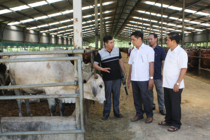 Chủ trang trại vay tín chấp