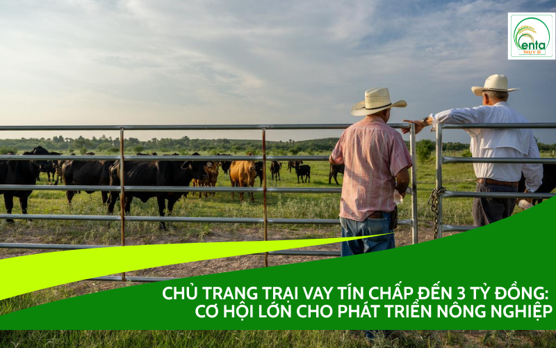 Chủ trang trại vay tín chấp