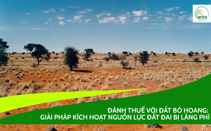 Đánh thuế với đất bỏ hoang