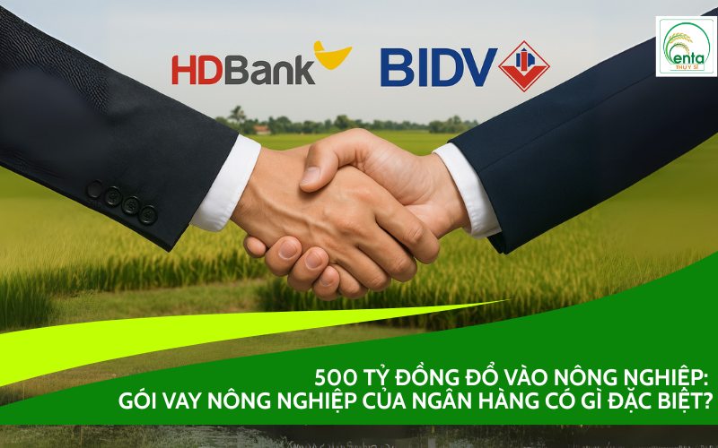 Gói vay nông nghiệp của ngân hàng
