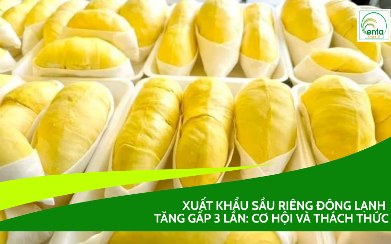 Xuất khẩu sầu riêng đông lạnh