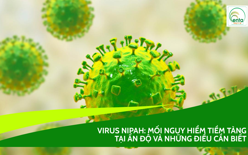 virus Nipah