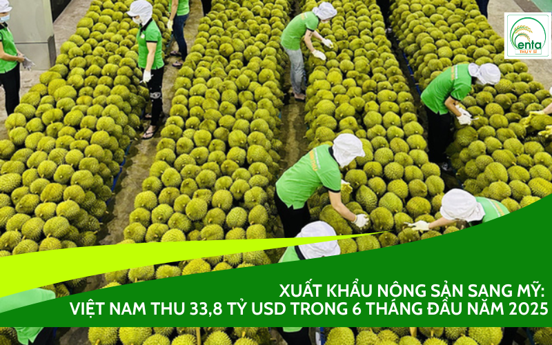 Xuất khẩu nông sản sang Mỹ
