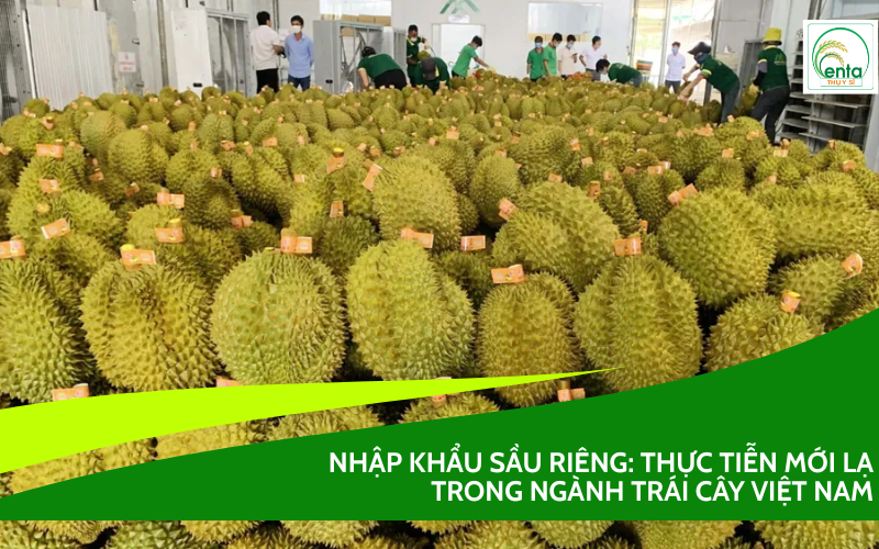 Nhập khẩu sầu riêng