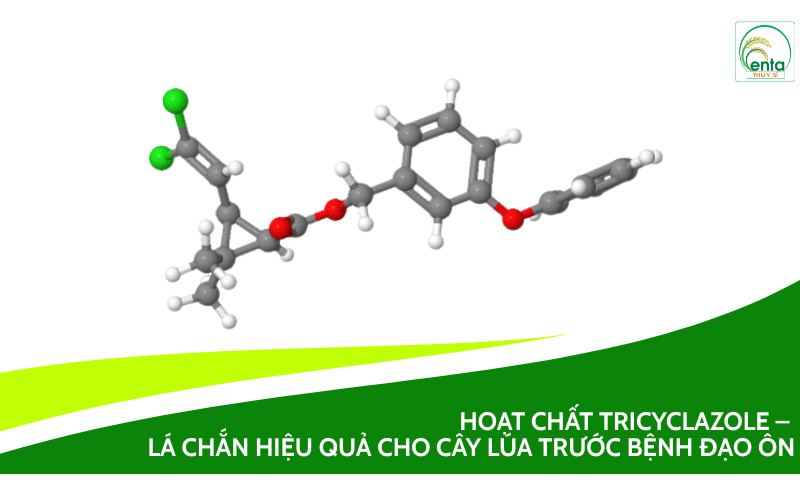 Hoạt chất Tricyclazole