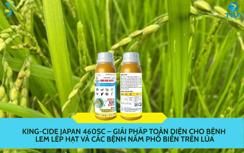 Công Ty Cổ phần Genta Thụy Sĩ