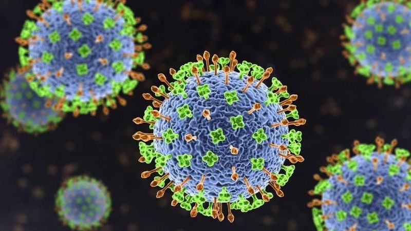 virus Nipah