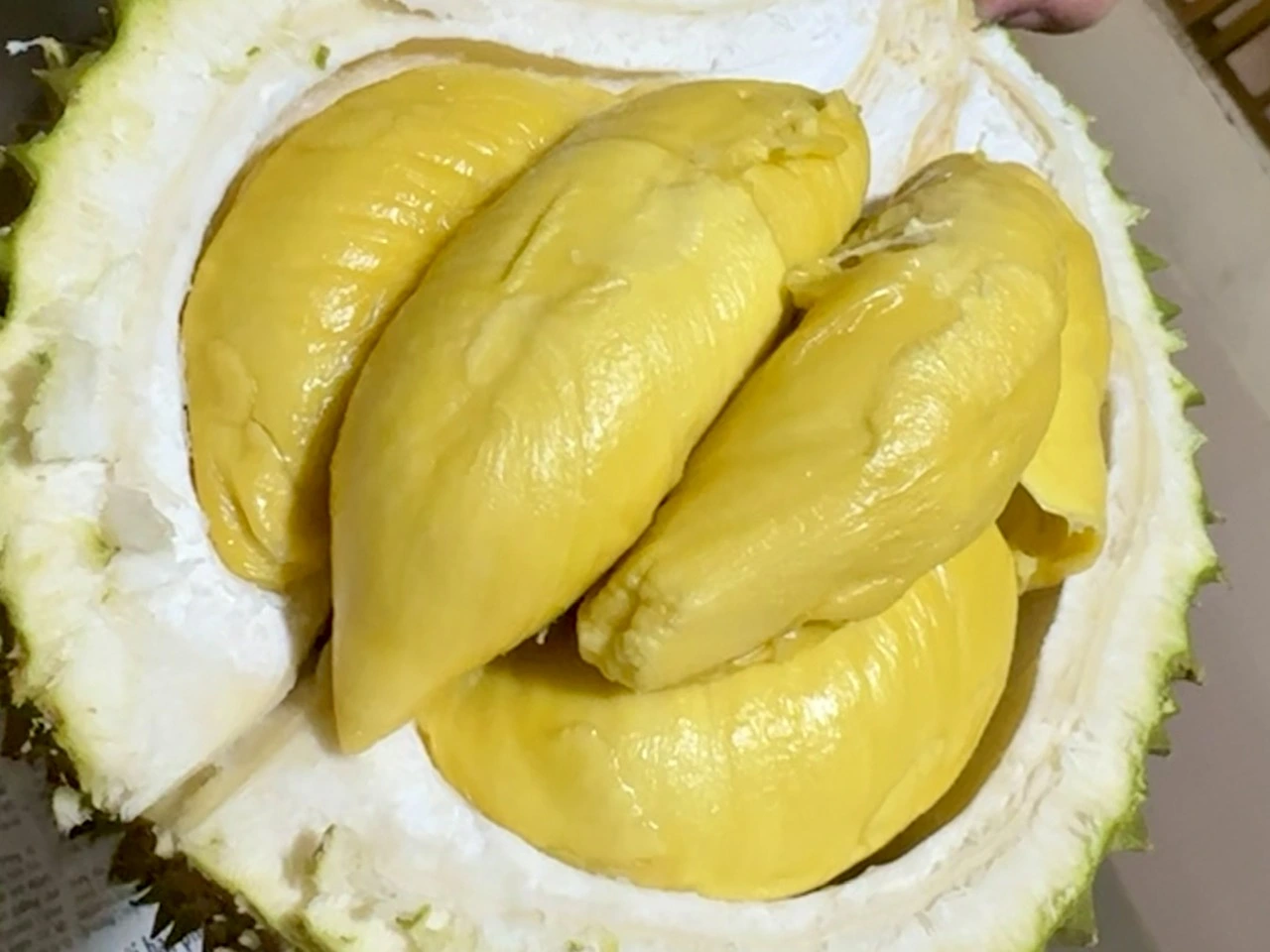 Sầu riêng giá rẻ