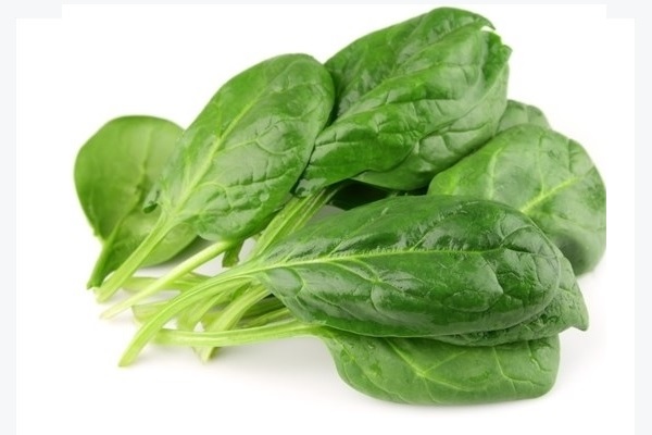 đậu phụ không nên ăn với gì