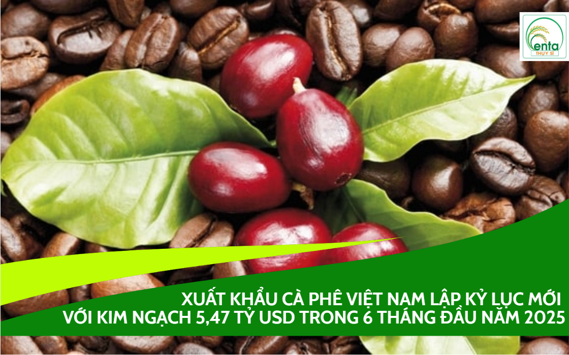 Xuất Khẩu Cà Phê Việt Nam