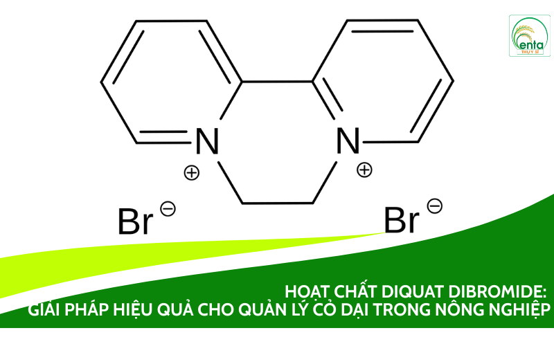 Diquat Dibromide