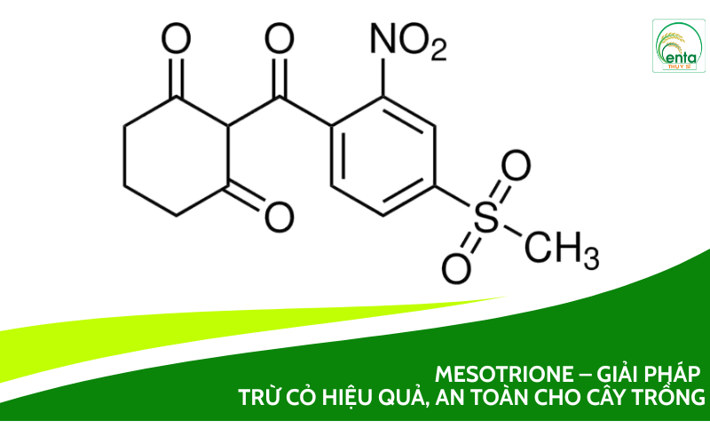Mesotrione